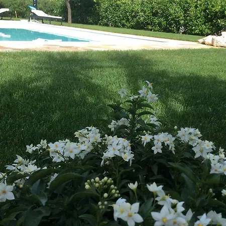 L'oasi Nel Borgo * Nereto