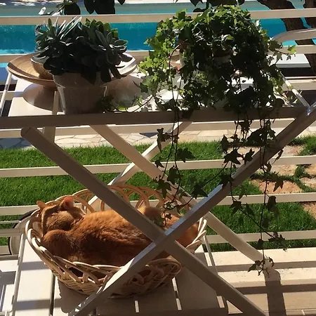 L'oasi Nel Borgo Bed and breakfast Nereto